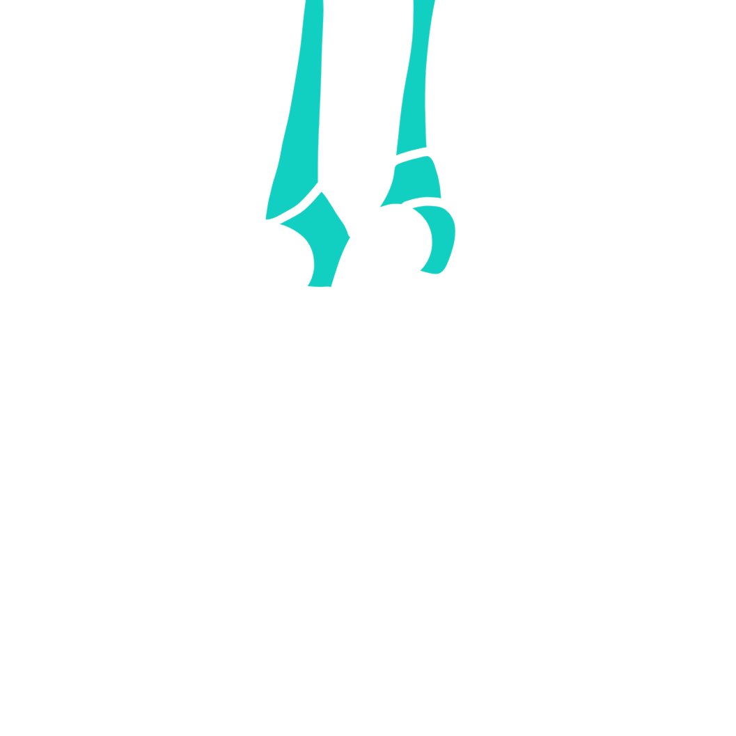 Ringe_bunt_web Ringe_bunt_web