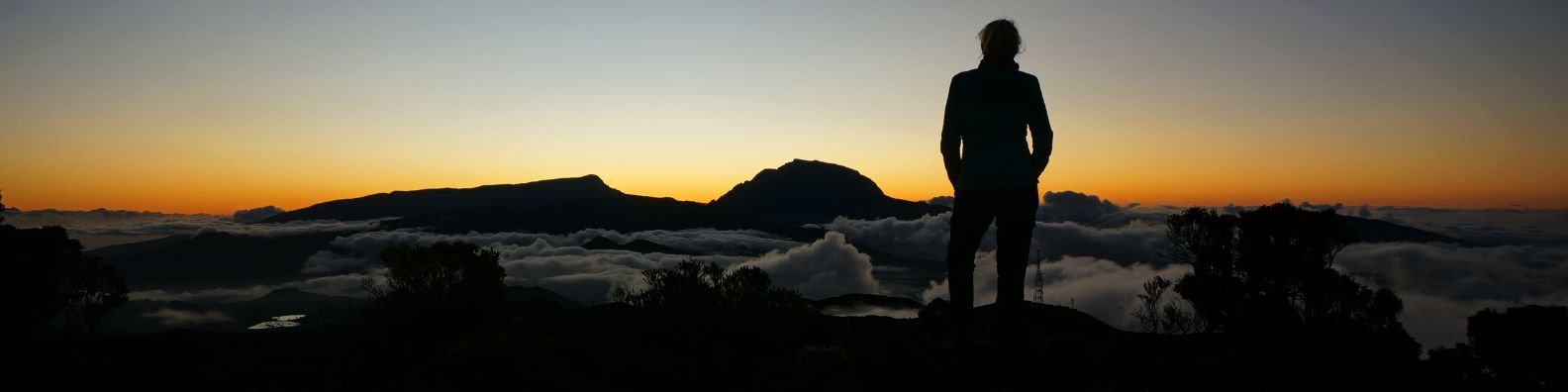 Banner_Dankbarkeit_Newsletter